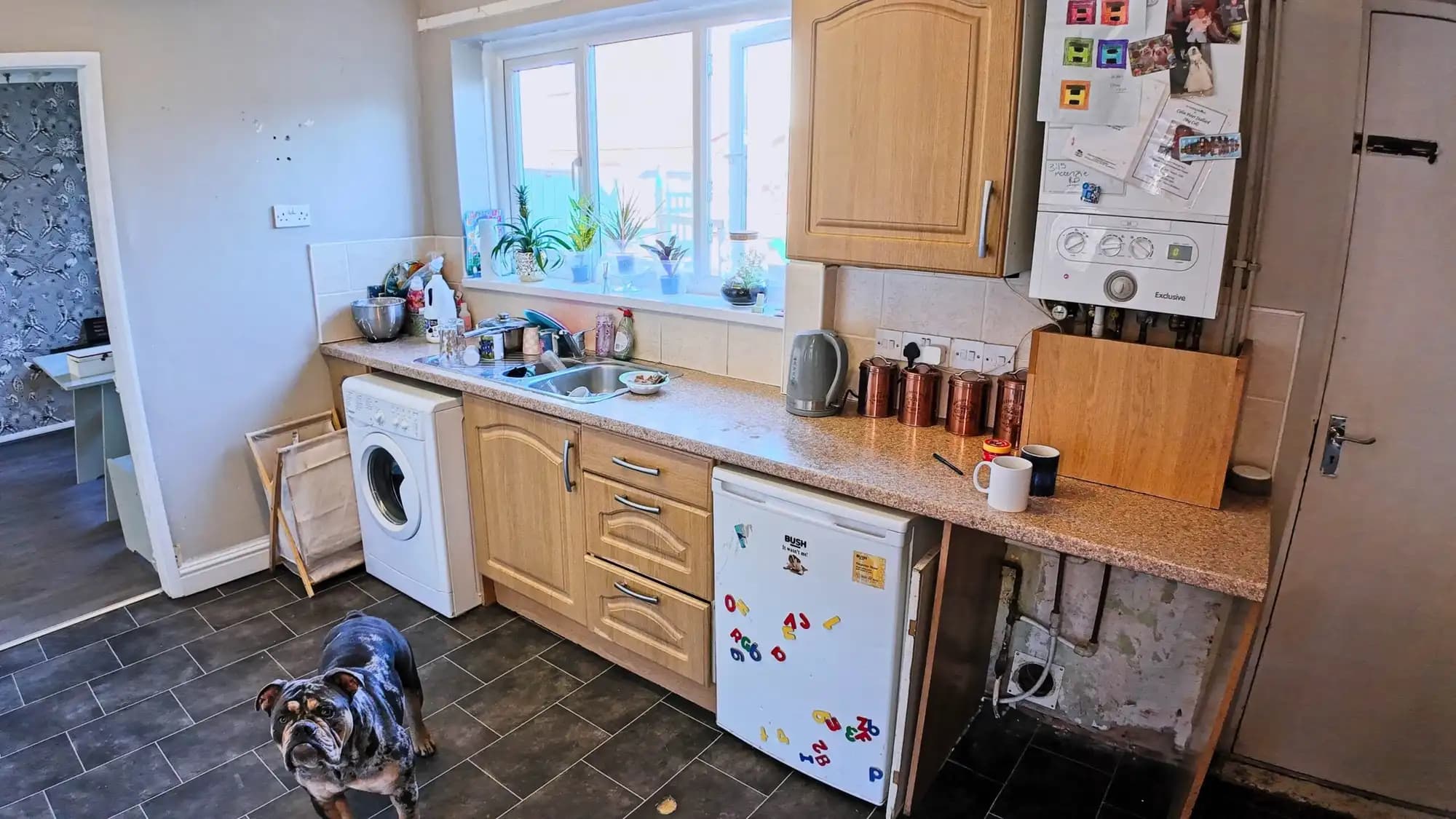 property photo 5 of 16